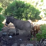 Landsted Nuraghe Putzu Canu Perfugas