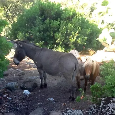 Country house Agriturismo Nuraghe Putzu Canu Perfugas