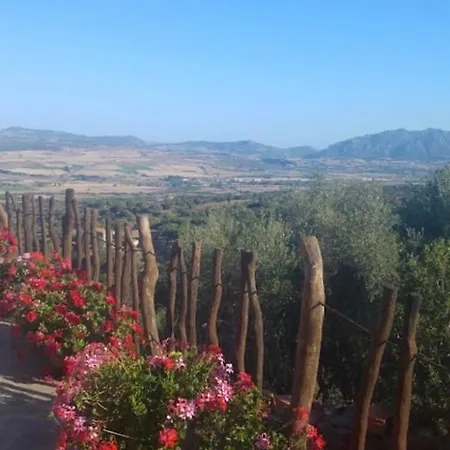 Nuraghe Putzu Canu Gospodarstwo wiejskie Perfugas