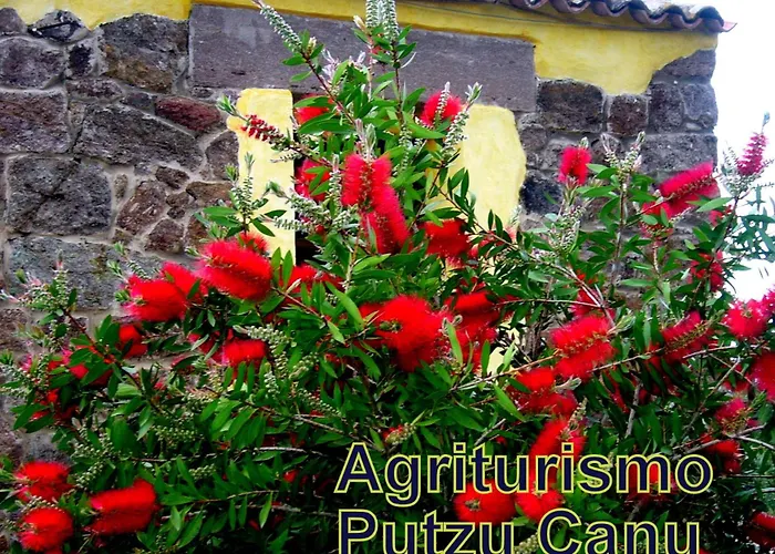 Nuraghe Putzu Canu Gospodarstwo wiejskie