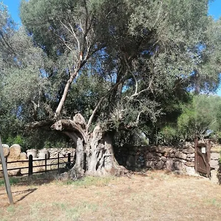 Nuraghe Putzu Canu *